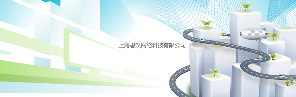 上海碧汉网络科技有限公司